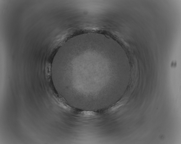 X0000090900528200707301415