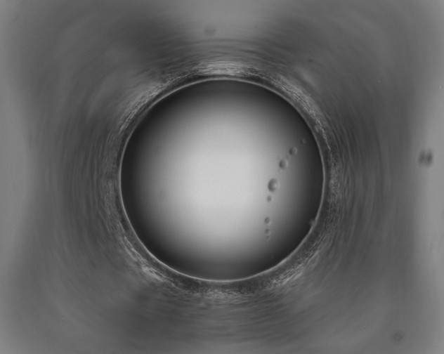 X0000090900529200707301415