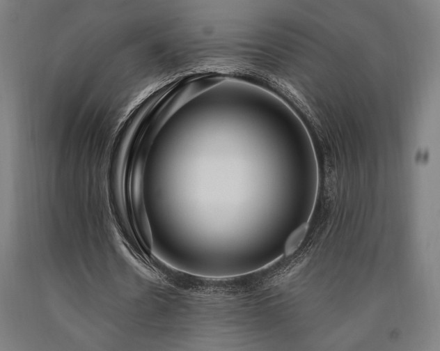 X0000090900530200707301415