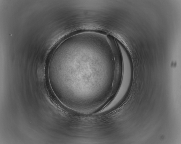 X0000090900531200707301415
