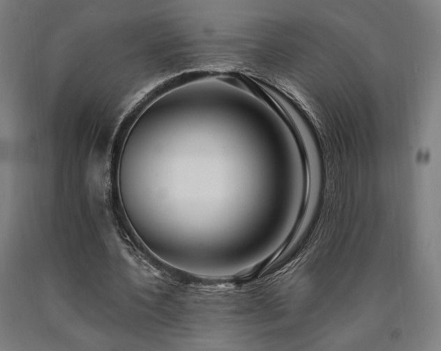 X0000090900532200707301415