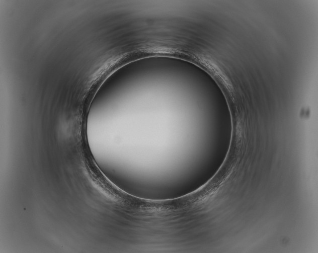 X0000090900533200707301415