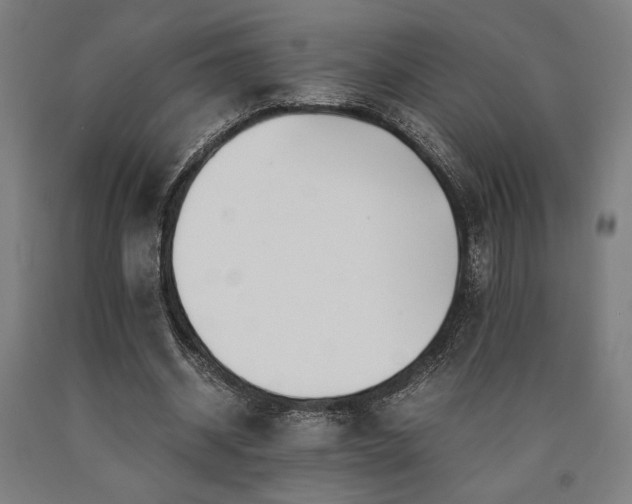 X0000090900534200707301415