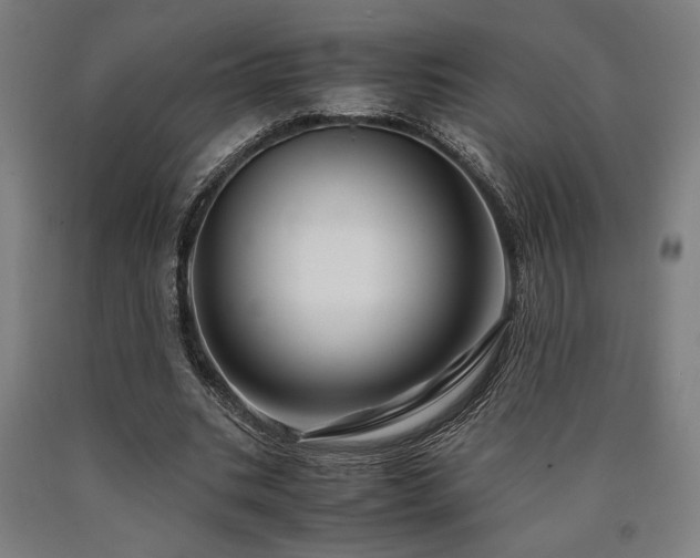 X0000090900535200707301415