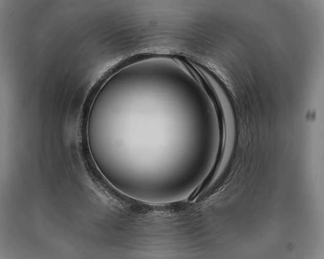 X0000090900536200707301415