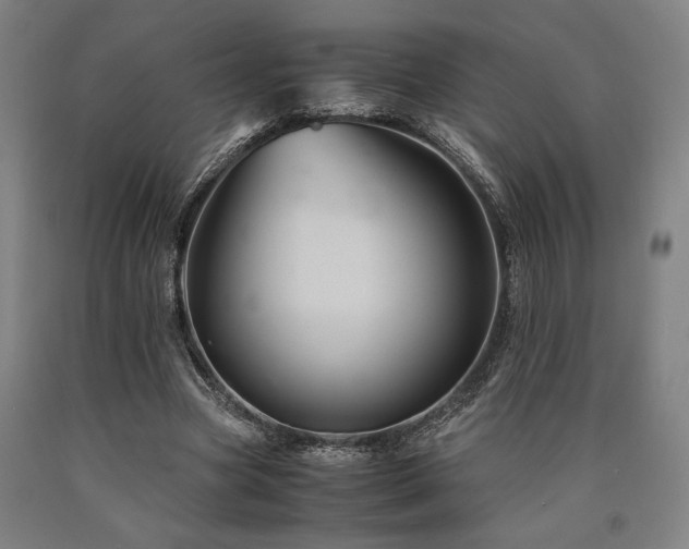 X0000090900537200707301415