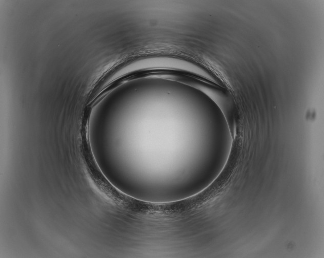 X0000090900538200707301415