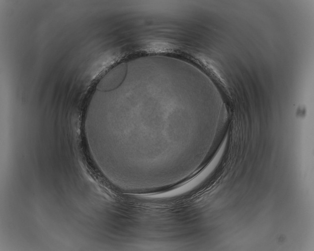 X0000090900539200707301415