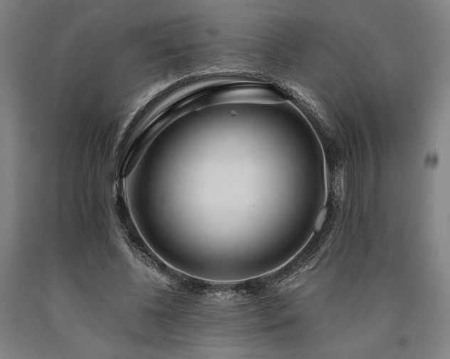 X0000090900540200707301415
