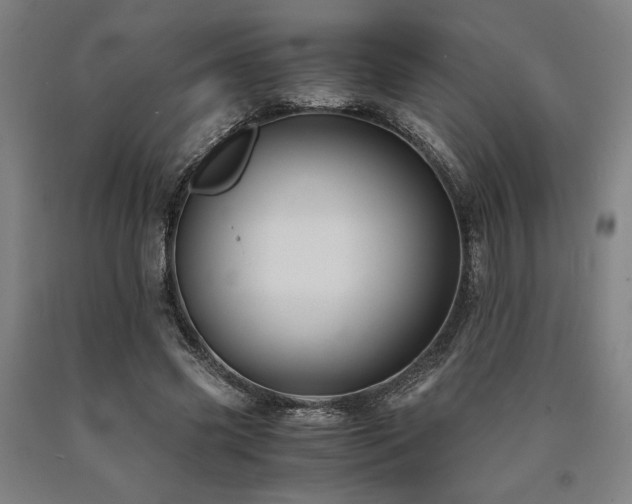 X0000090900541200707301415