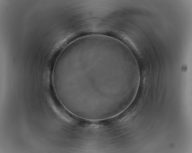 X0000090900542200707301415