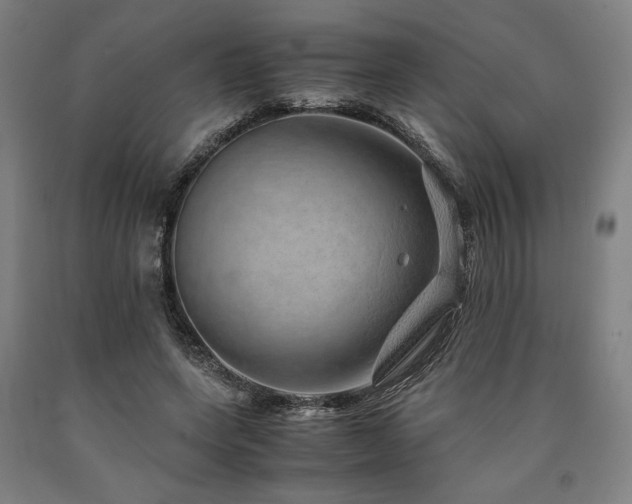X0000090900543200707301415