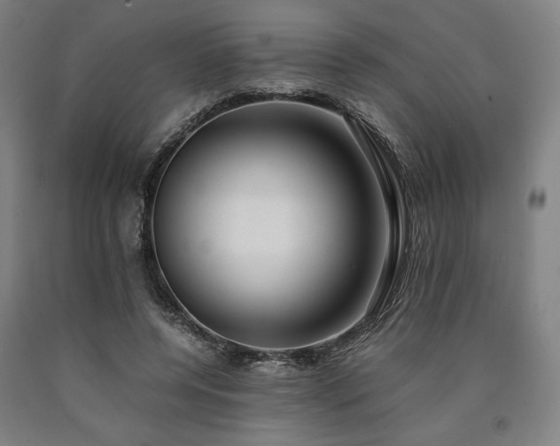 X0000090900544200707301415