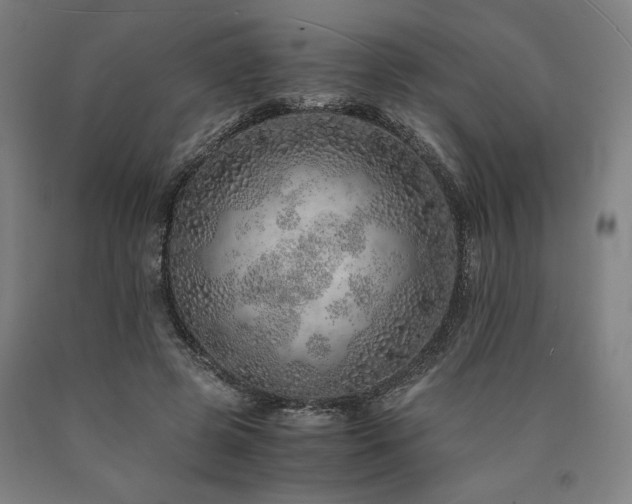X0000090900545200707301415