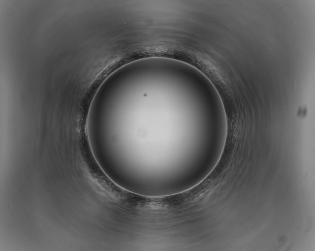 X0000090900546200707301415