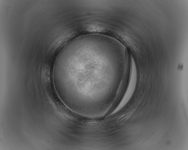 X0000090900547200707301415