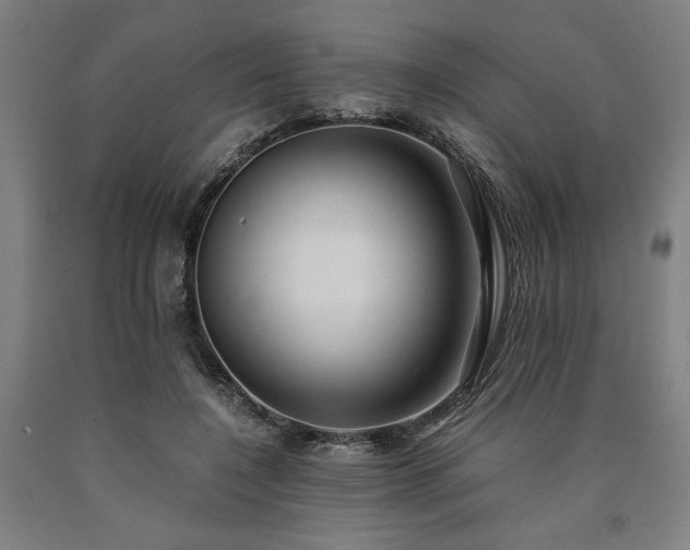 X0000090900548200707301415