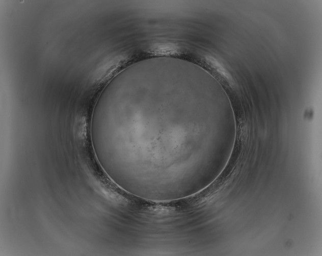 X0000090900549200707301415