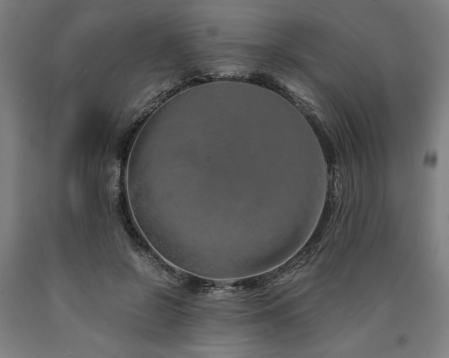 X0000090900550200707301415