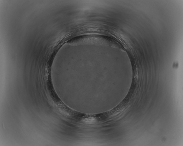 X0000090900551200707301415