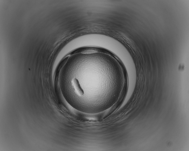 X0000090900552200707301415