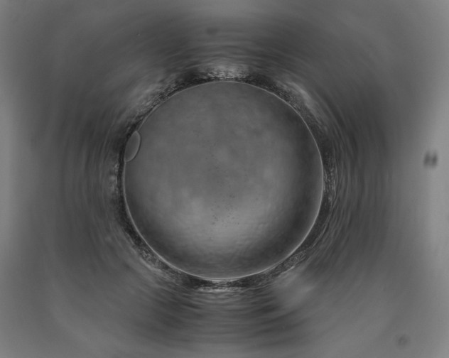 X0000090900553200707301415