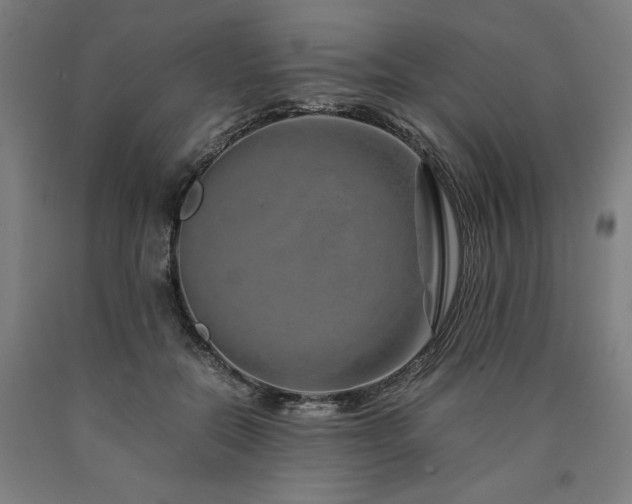 X0000090900554200707301415