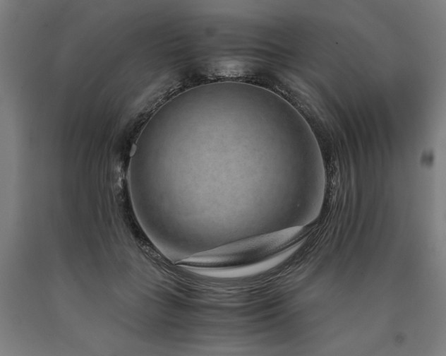 X0000090900555200707301415