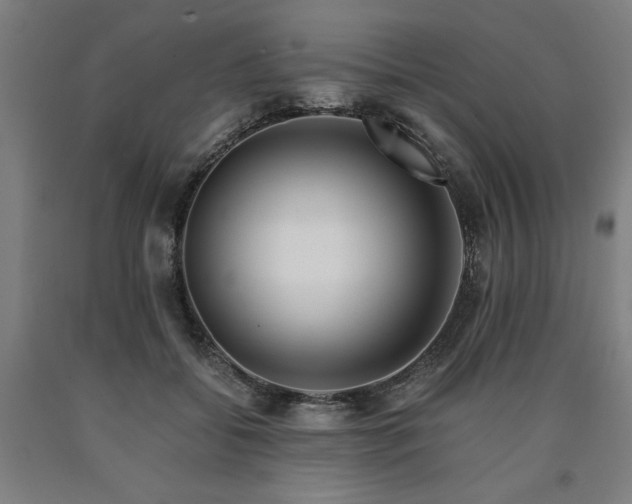 X0000090900556200707301415