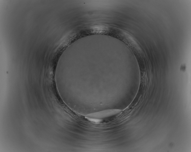 X0000090900557200707301415