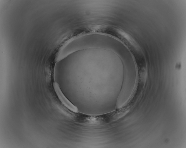 X0000090900558200707301415