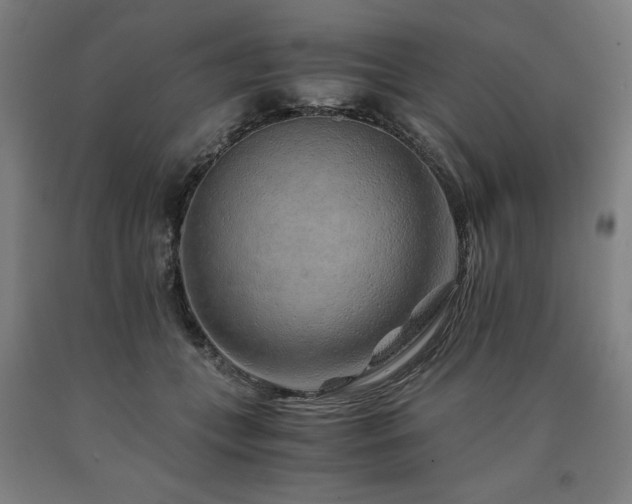 X0000090900559200707301415