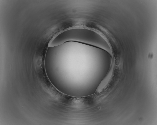 X0000090900560200707301415