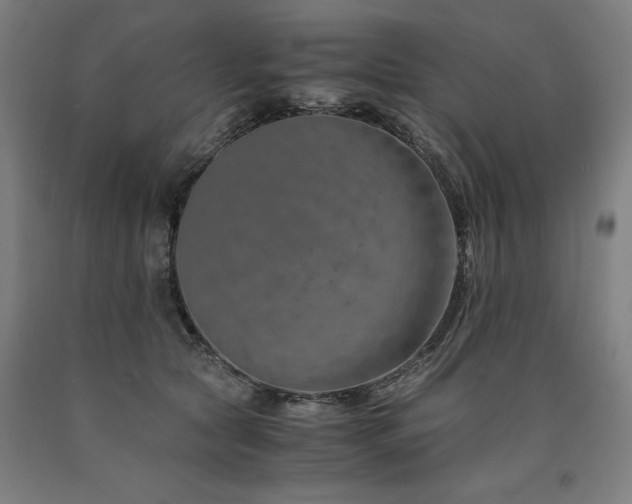 X0000090900561200707301415
