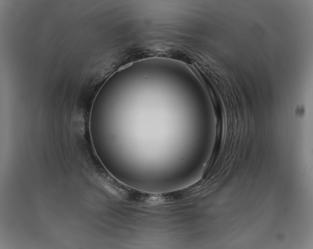X0000090900562200707301415