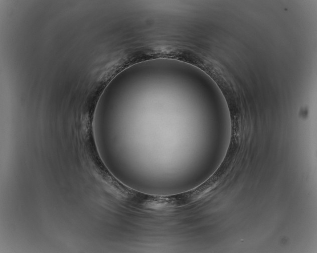 X0000090900563200707301415