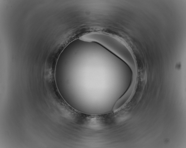 X0000090900564200707301415