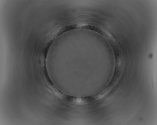 X0000090900565200707301415