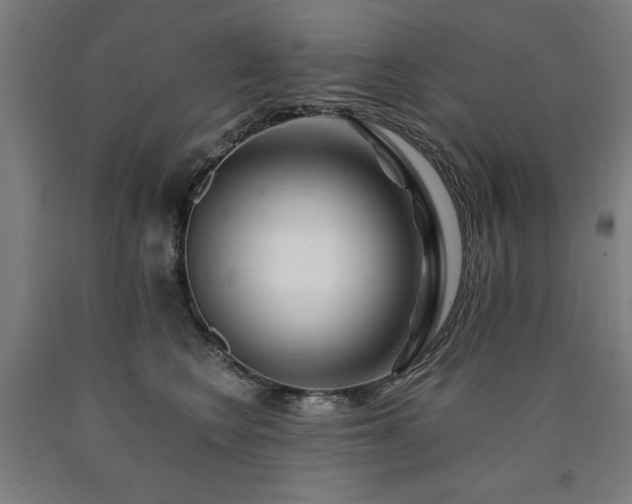 X0000090900566200707301415