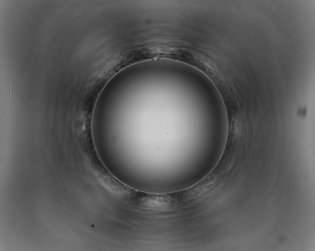 X0000090900567200707301415