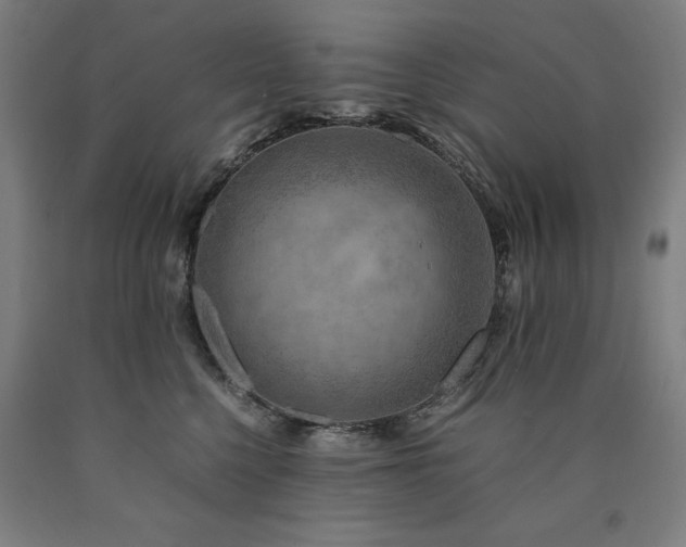 X0000090900568200707301415