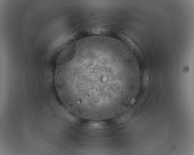 X0000090900569200707301415