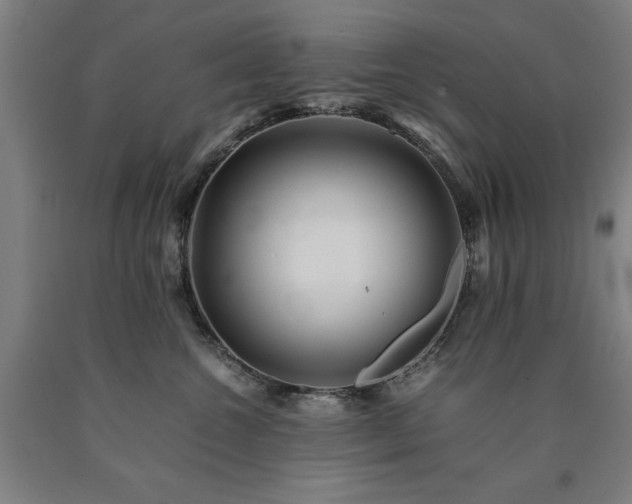 X0000090900572200707301415