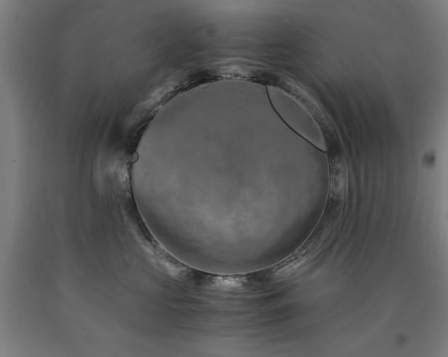X0000090900573200707301415
