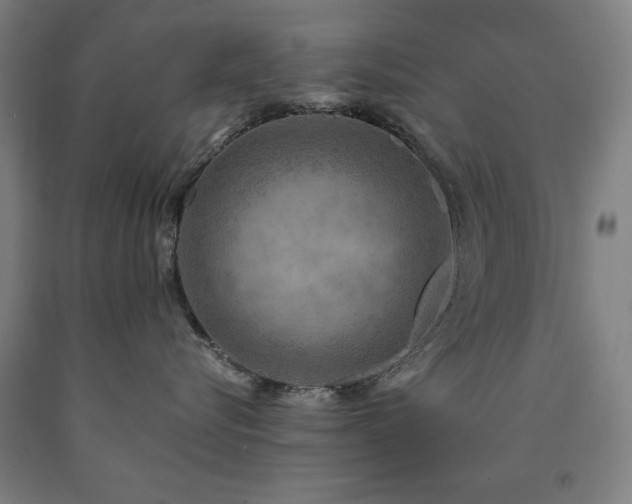 X0000090900576200707301415