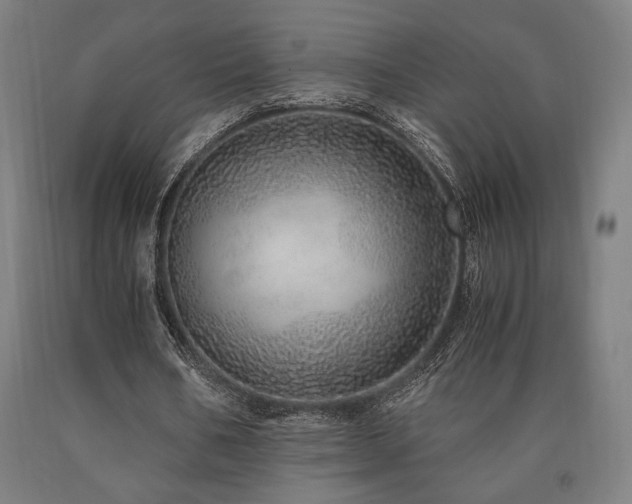 X0000090900578200707301415