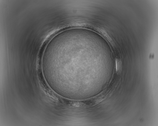 X0000090900579200707301415