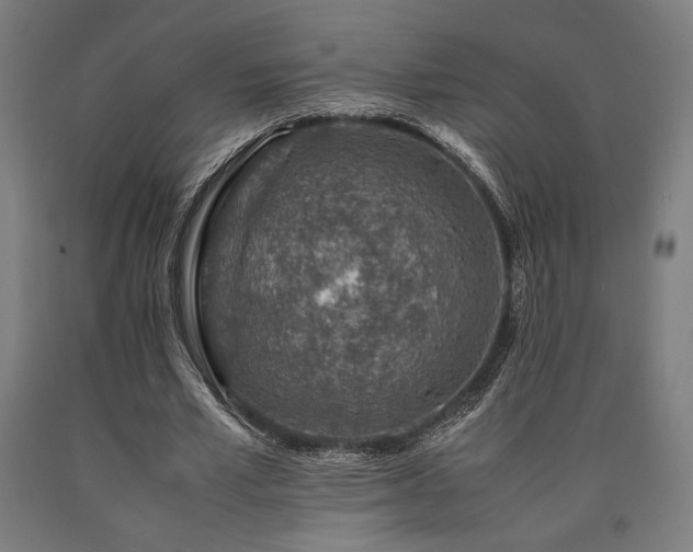 X0000090900581200707301415