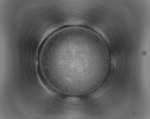 X0000090900582200707301415