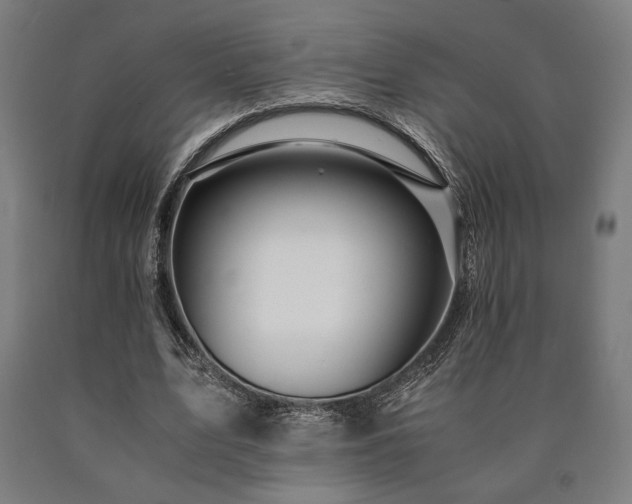 X0000090900583200707301415